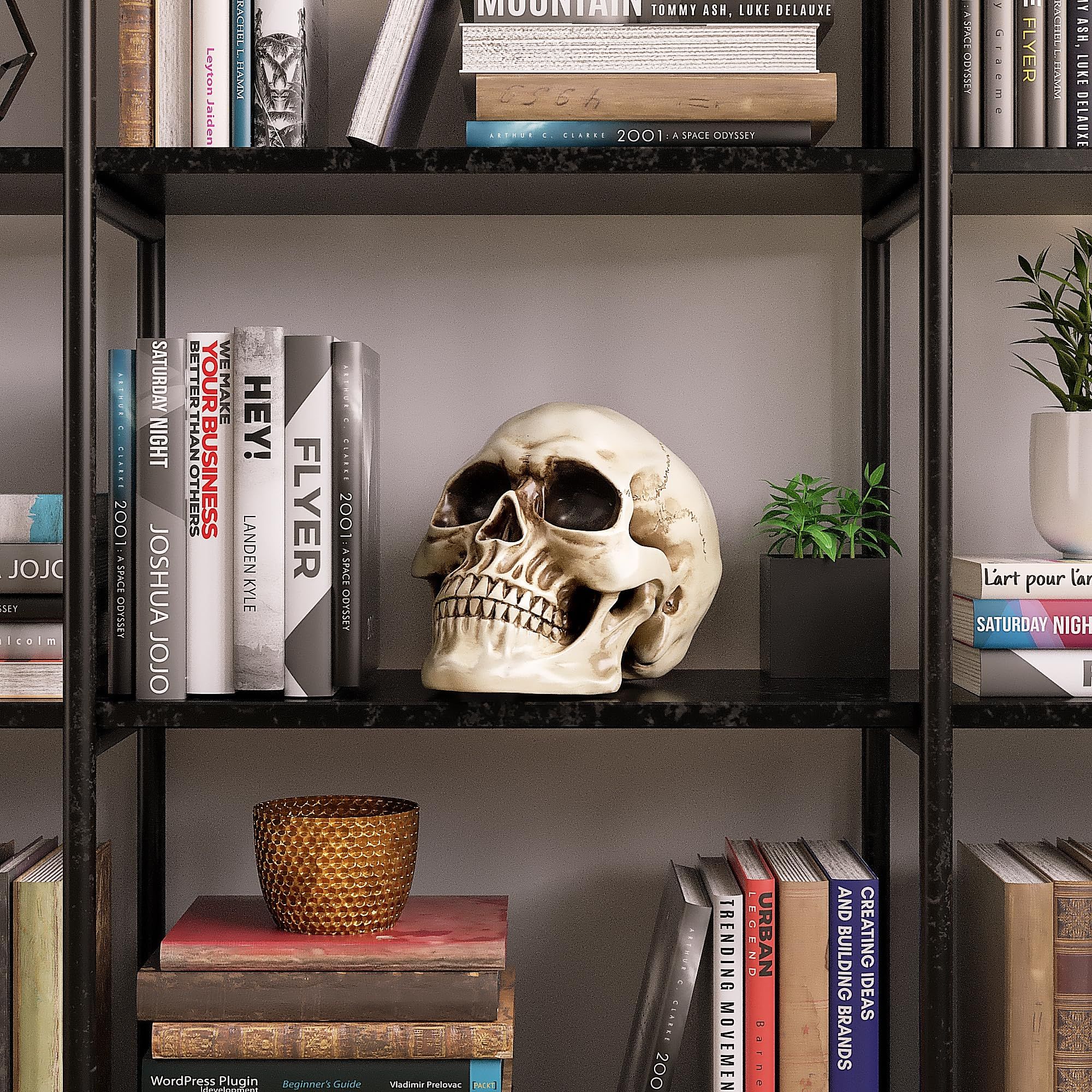 Full size 1:1, human life size skull model, 7.7 x 5.4 x 5.9 inch. It's perfect for Halloween party and home decorations.