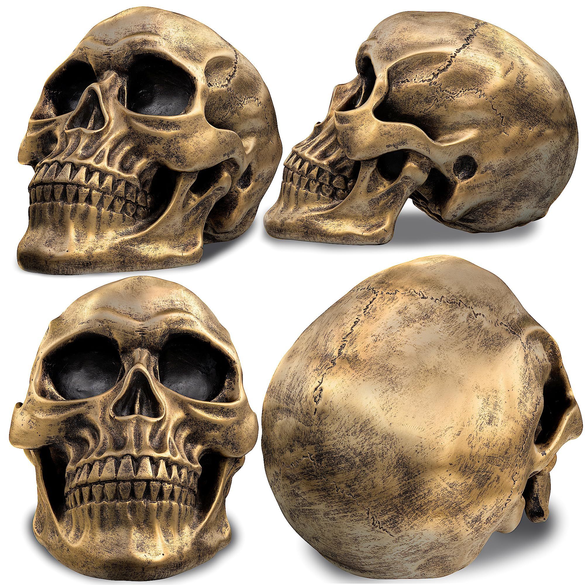 Life Size Human Skull Model 1:1 Replica Realistic Human Adult Skull Head Bone Model (Gold)Halloween and party decorations