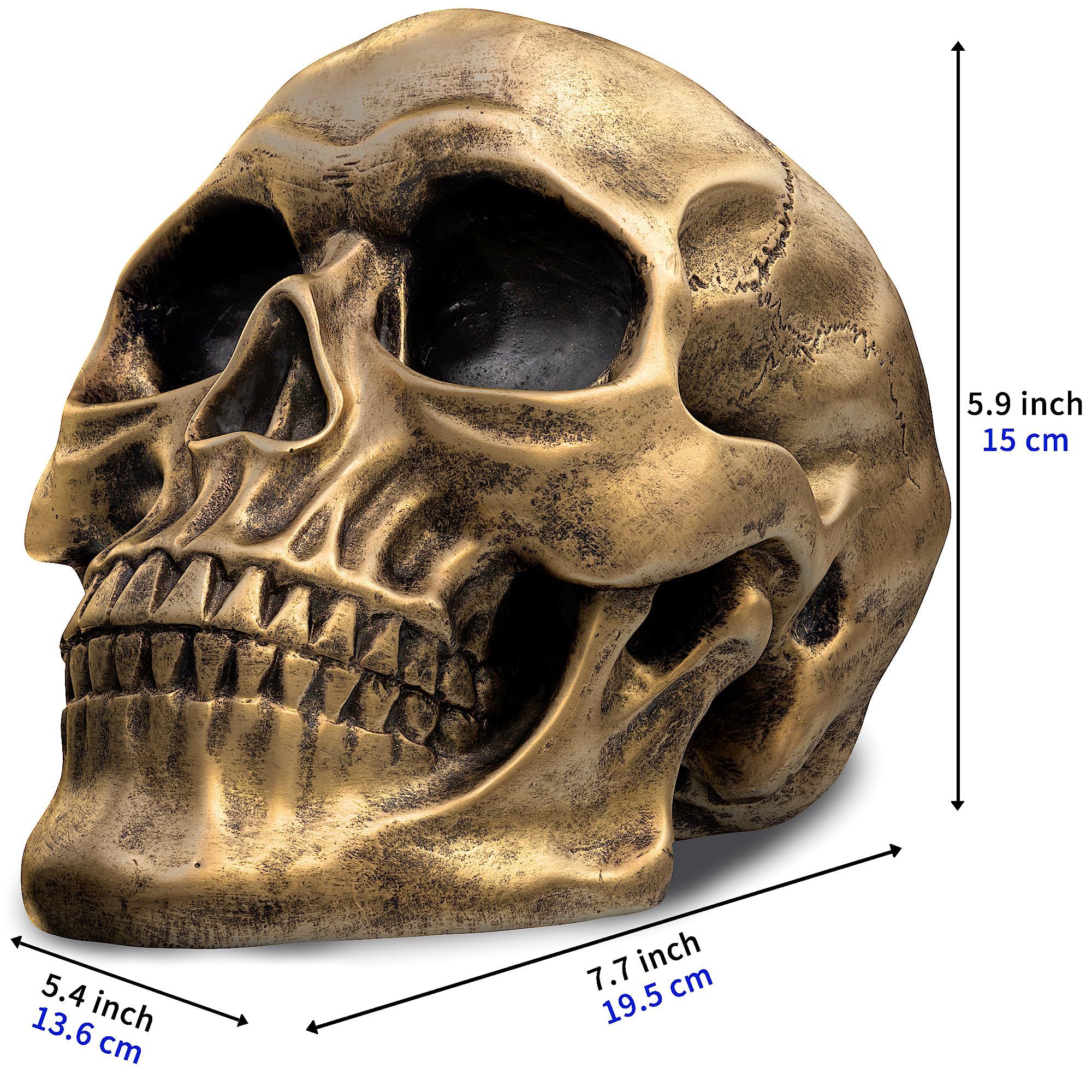 Life Size Human Skull Model 1:1 Replica Realistic Human Adult Skull Head Bone Model (Gold)Halloween and party decorations