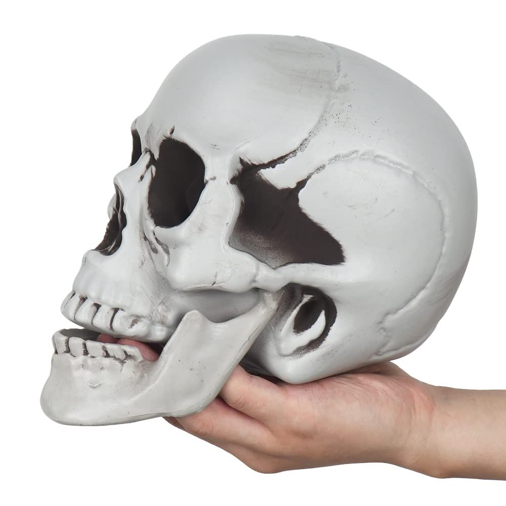 Realistic Human Skull Model 1:1 Skeleton Halloween Outdoor Decoration Prop Life Size Skeleton Distinctive Desig