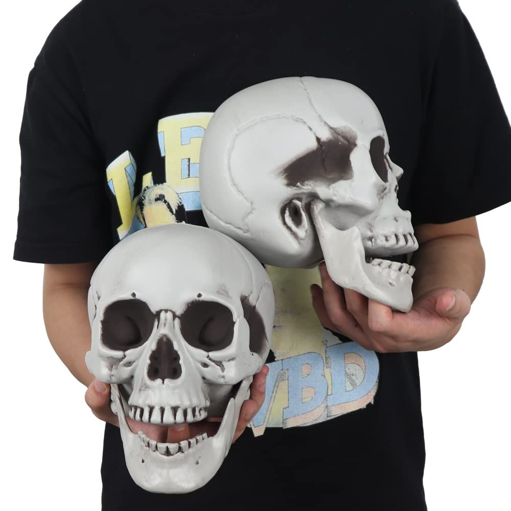 Realistic Human Skull Model 1:1 Skeleton Halloween Outdoor Decoration Prop Life Size Skeleton Distinctive Desig