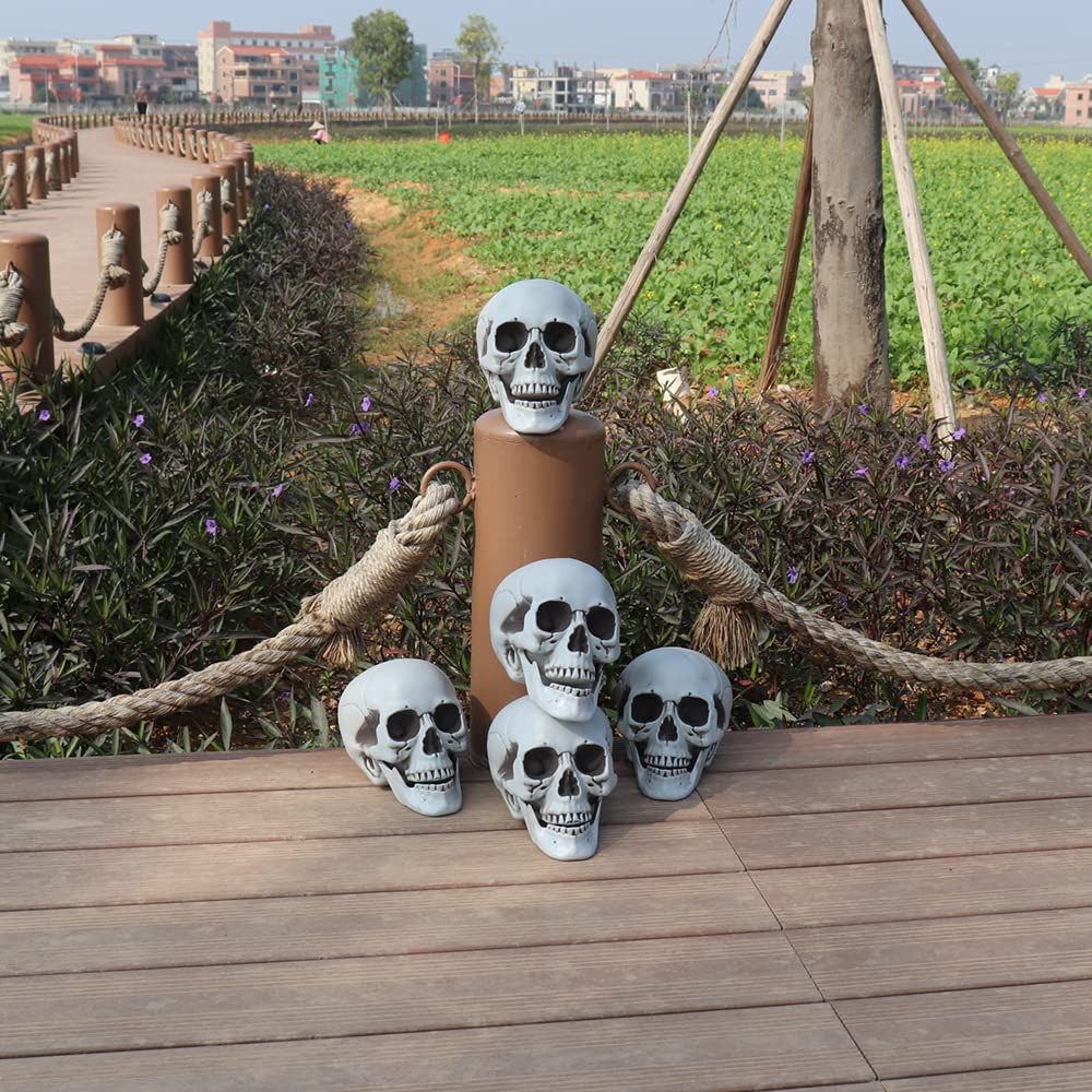Realistic Human Skull Model 1:1 Skeleton Halloween Outdoor Decoration Prop Life Size Skeleton Distinctive Desig