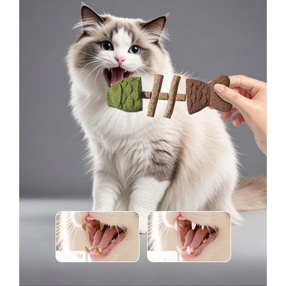 Cat Dental Toy Natural Fishbone Shape 7In Cat Chew Toy with Catnip and Silvervine for Healthy Teeth Cleaning Indoor Cats