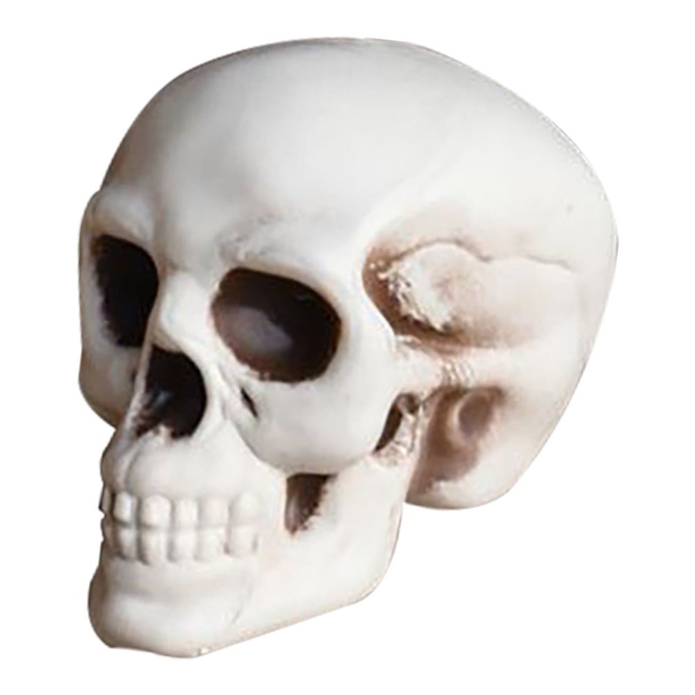 Small Skulls Halloween Decor, 4 Inch Plastic Fake Skeletons, Mini Skulls for Crafts Outdoor Halloween Decorations, Realistic Miniature Human Skull Heads