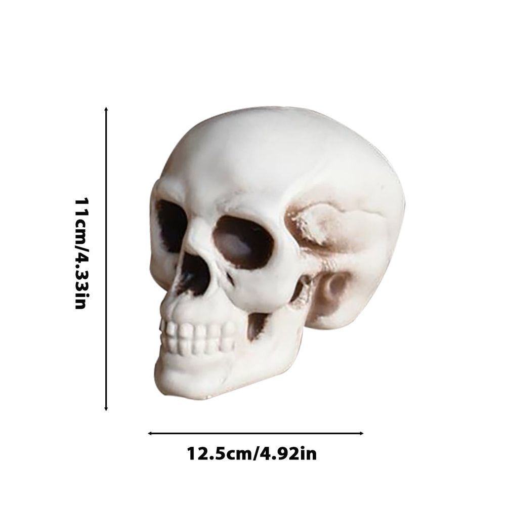 Small Skulls Halloween Decor, 4 Inch Plastic Fake Skeletons, Mini Skulls for Crafts Outdoor Halloween Decorations, Realistic Miniature Human Skull Heads