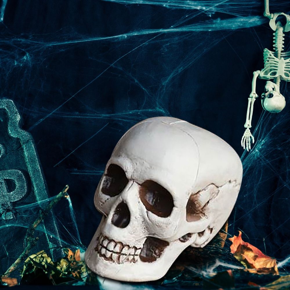 Small Skulls Halloween Decor, 4 Inch Plastic Fake Skeletons, Mini Skulls for Crafts Outdoor Halloween Decorations, Realistic Miniature Human Skull Heads