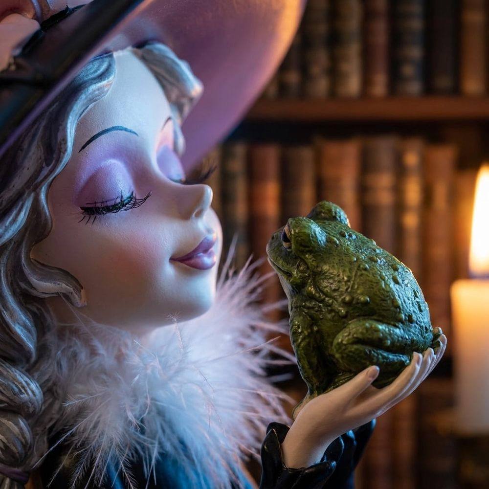 Halloween Witch Kissing Frog Statue, 7.9 Inch Resin Gothic Fantasy Figurine with Glitter Tulle Skirt, Spider Web Dress and Witch Hat, Tabletop Home Decor Accent