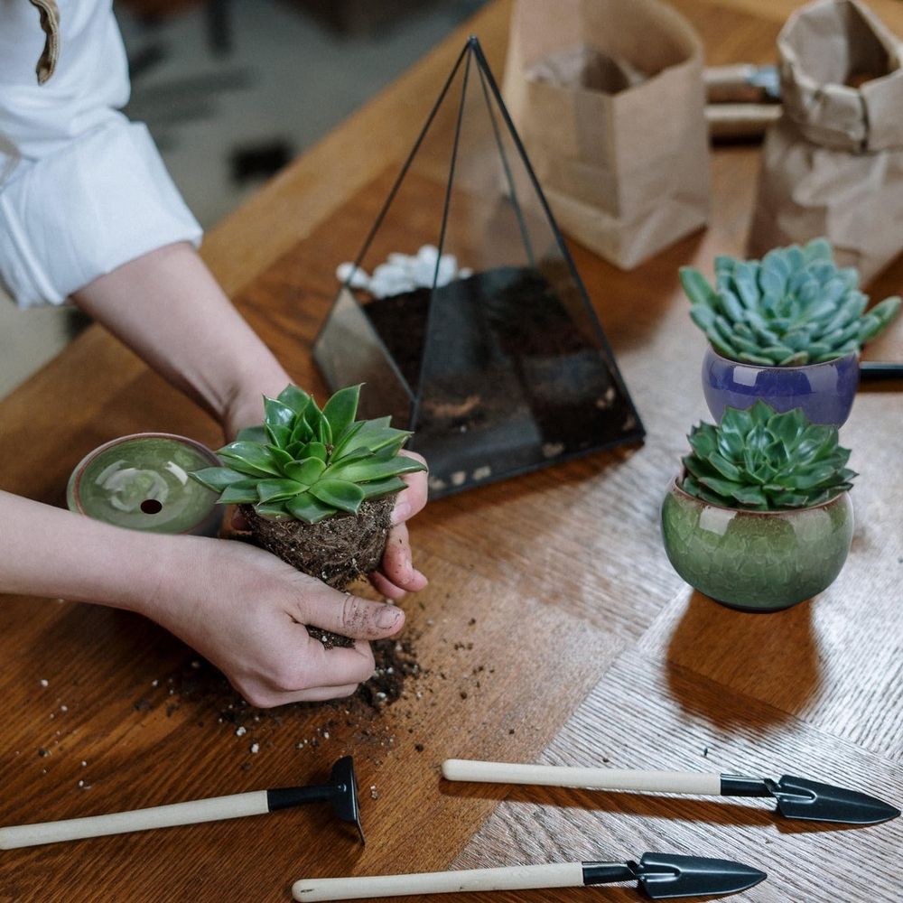 Small Ceramic Flowerpot for Indoor Plants, Decorative for , Cacti, and