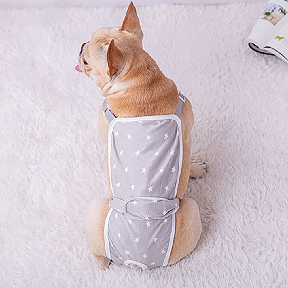 Female Dog Sanitary Panties Diaper Pantie Dog Reusable Diapers Washable Small Dogs Underwear Period Shorts Pet Supply