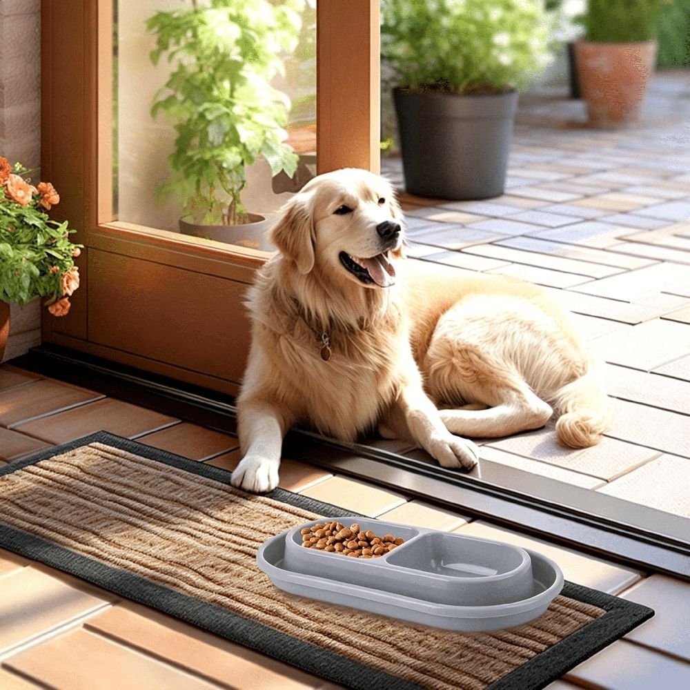 2Pcs Ant Proof Cat Food Bowls Double Tray Dog Bowl Non Slip Plastic Pet Feeder 10.8X5.9X1.4 Inch
