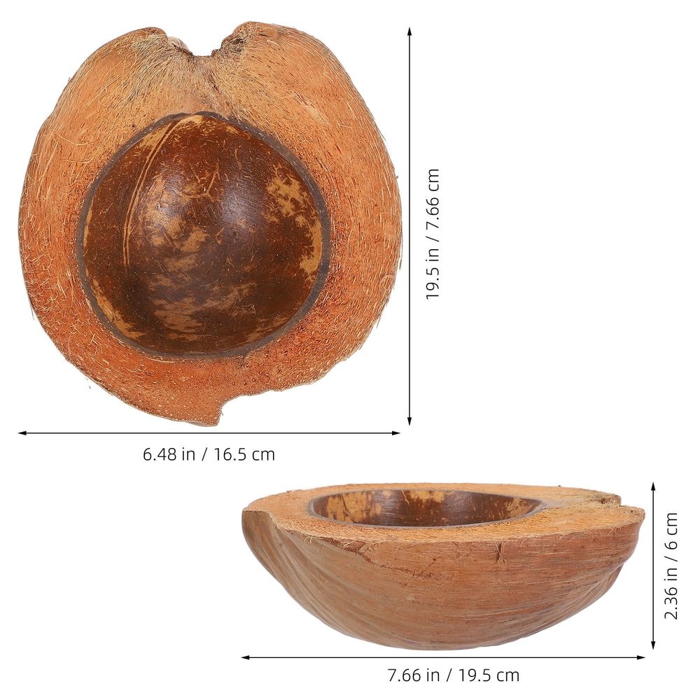 Decorative Coconut Shell Bowl Assorted Color Practical Multi-Purpose Use