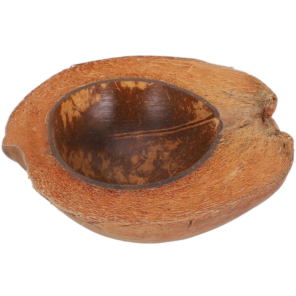 Decorative Coconut Shell Bowl Assorted Color Practical Multi-Purpose Use