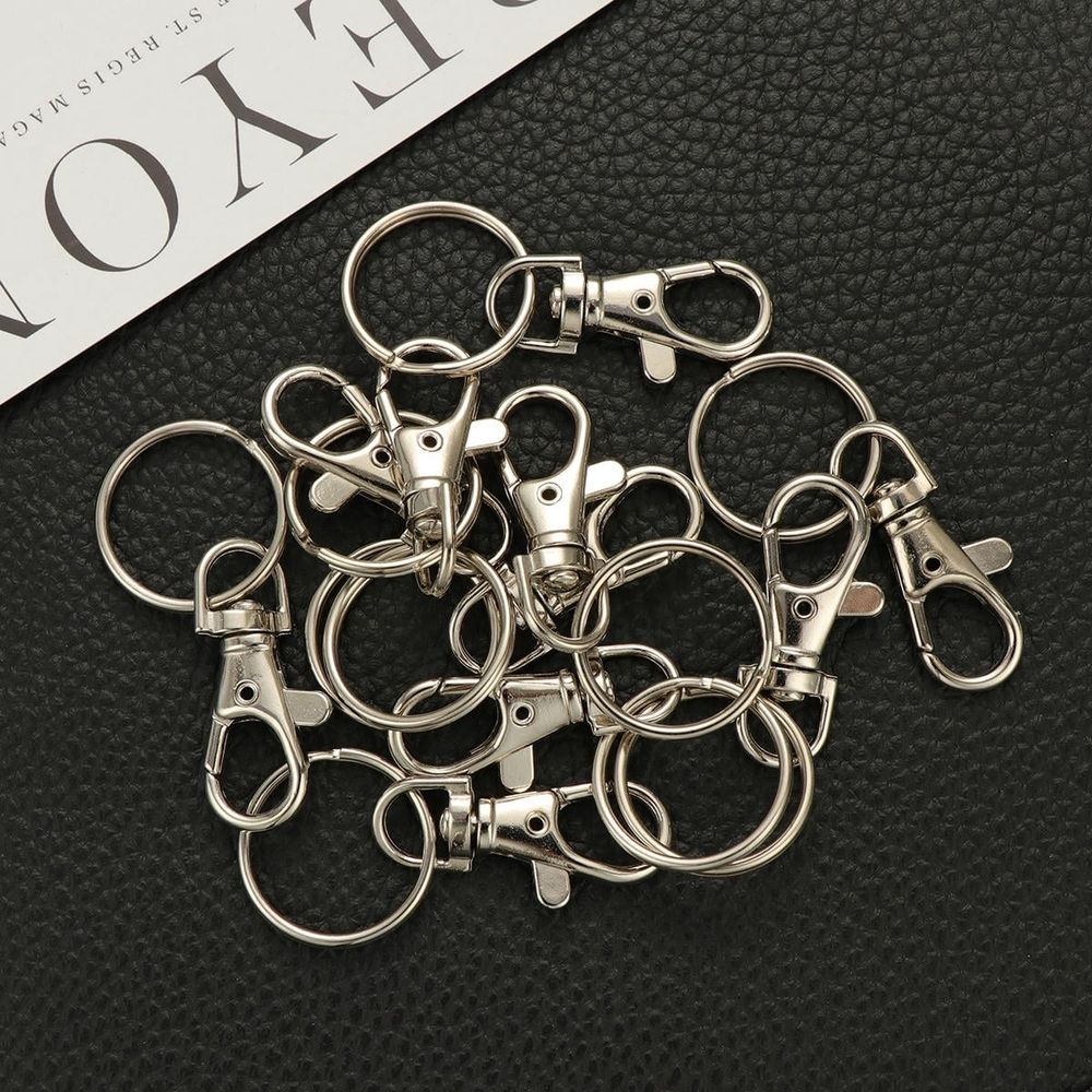 20 Sets Detachable Swivel Lobster Clasp Keychains, Metal Alloy, for Keys and Accessories