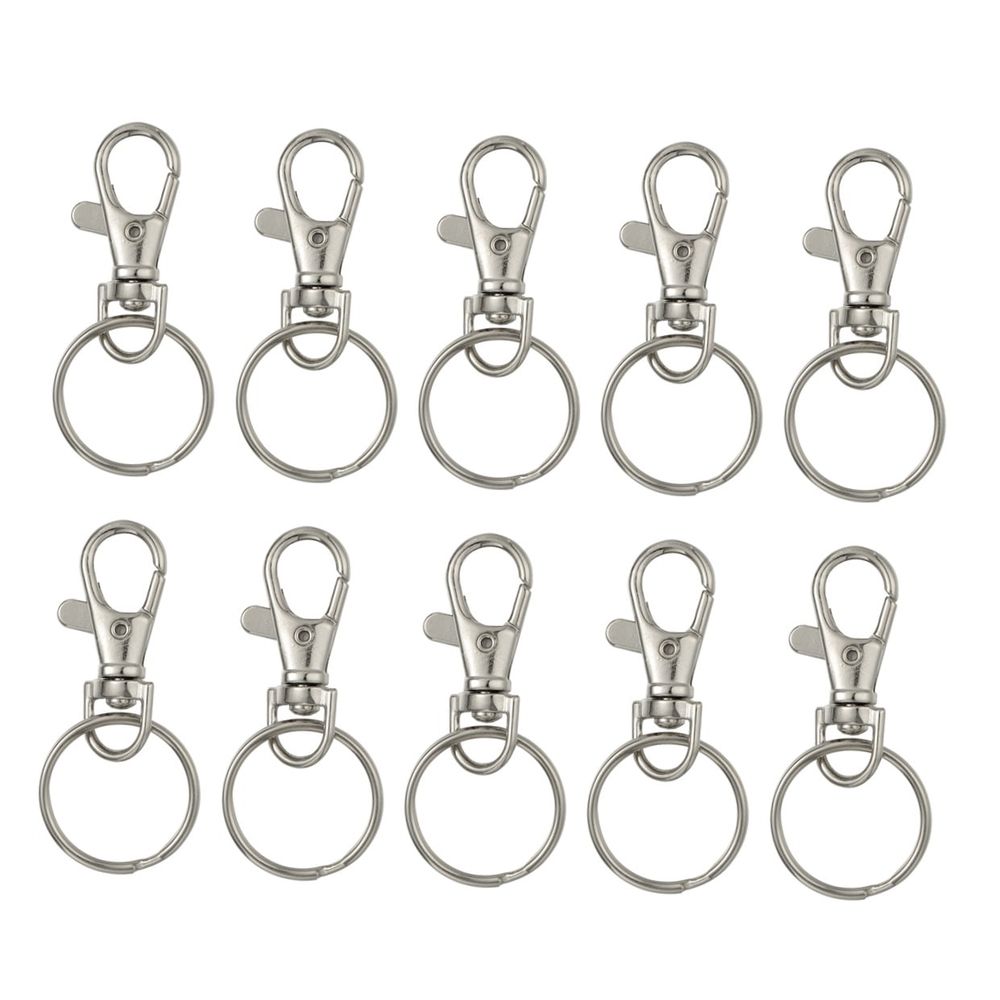 20 Sets Detachable Swivel Lobster Clasp Keychains, Metal Alloy, for Keys and Accessories