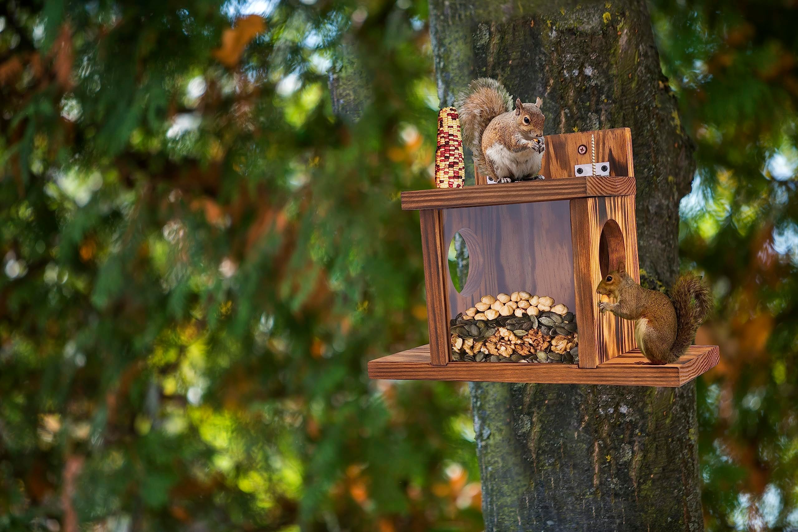 Wood Squirrel Feeder, Squirrel Feeders for Outside Winter, Wooden Chipmunk Feeder for Corn, Peanuts, Durable Box Easy to Fill with Removable Front Panel