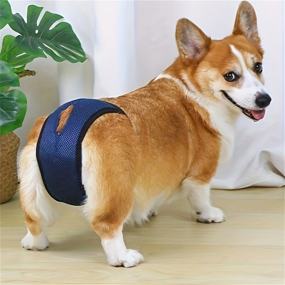3Pcs Dog Pants, Reusable Breathable Mesh Female Dog Diapers, Sanitary Pads, Adjustable Sanitary Briefs, Protective Trousers, Underwear for Female Dog in Heat（S navy blue）