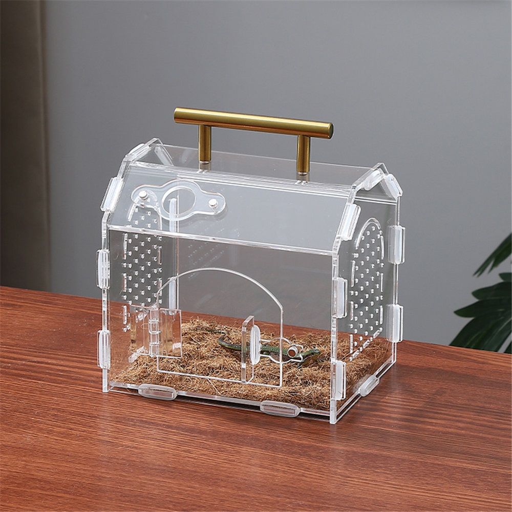 Jumping Spider Enclosure Tarantula Enclosure Insect Terrarium with Handle and Magnetic Door Transparent Terrarium for Reptiles, Amphibians and Spiders
