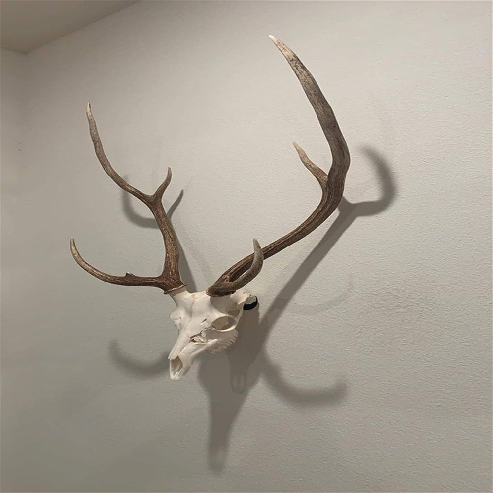 2 pack The No Show Whitetail Deer Skull Mount Hanger - No Show Design - Quickest Install - Hog Antelope Coyote bobcat Axis Small Game