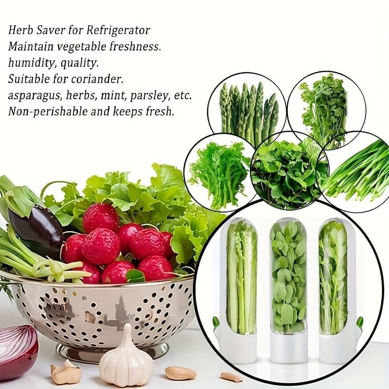 Herb Preserver Seed Pods 2pcs Keep Vegetables Fresh Cilantro Container for Fridge Mint Storage Kitchen Supplies Cylinder