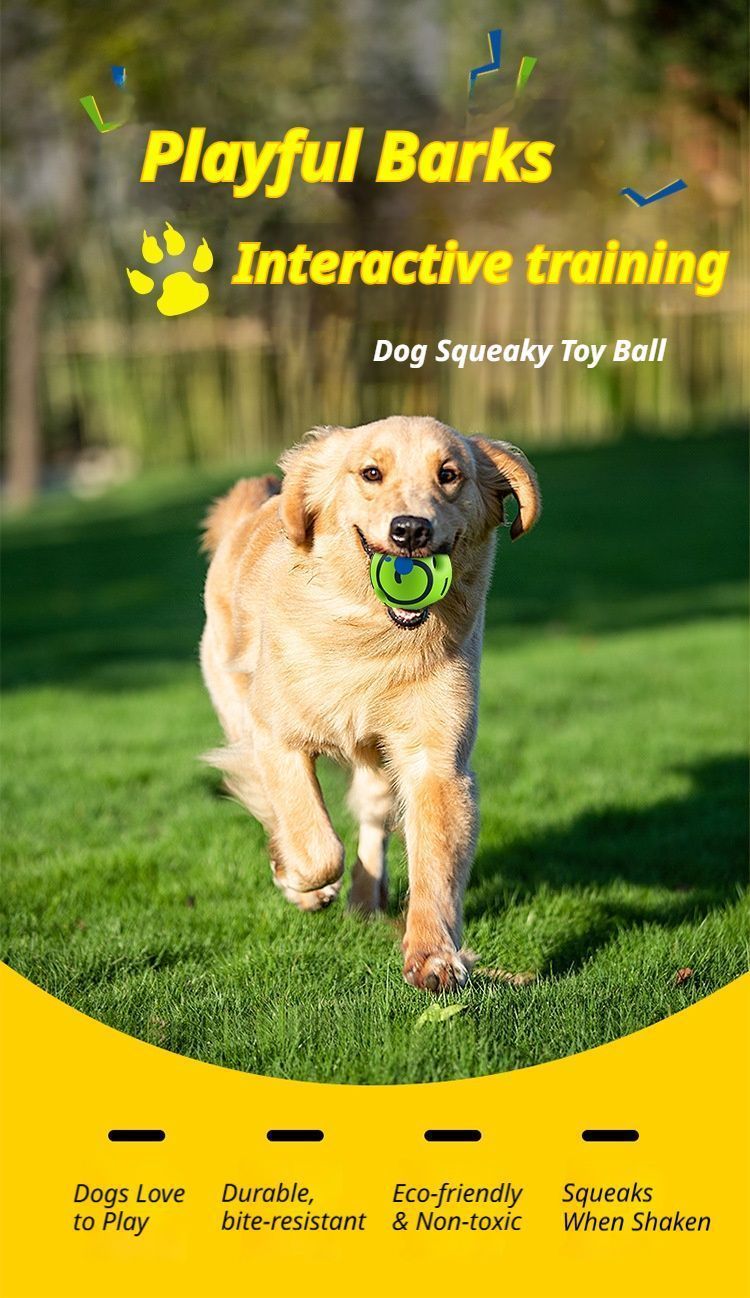 14cm Dog Squeaky Ball Color Box