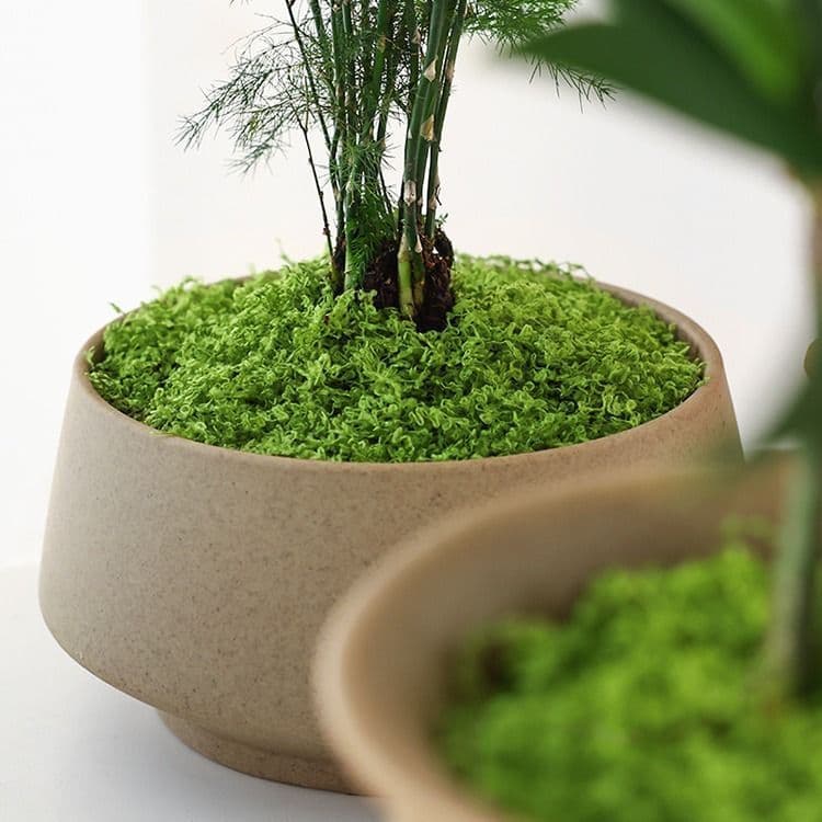 200g Dark Green Artificial Moss