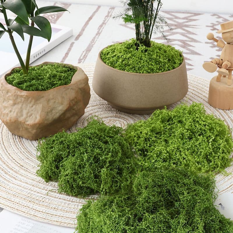 200g Dark Green Artificial Moss