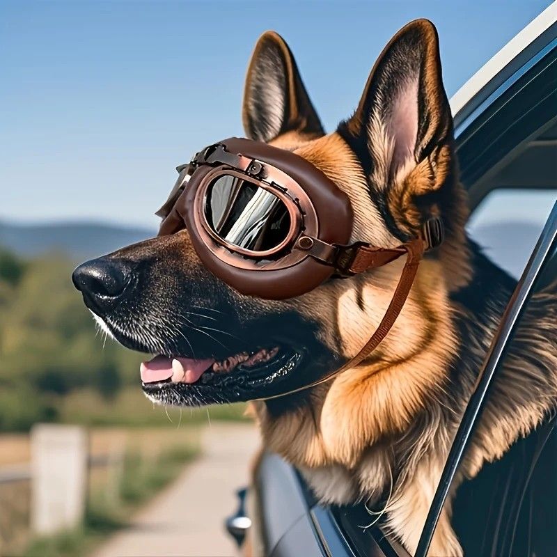 Retro Aviator Dog Goggles | Windproof & UV Protection Adjustable Foldable Sunglasses for Medium-Large Dogs(Bronze-silver lens)