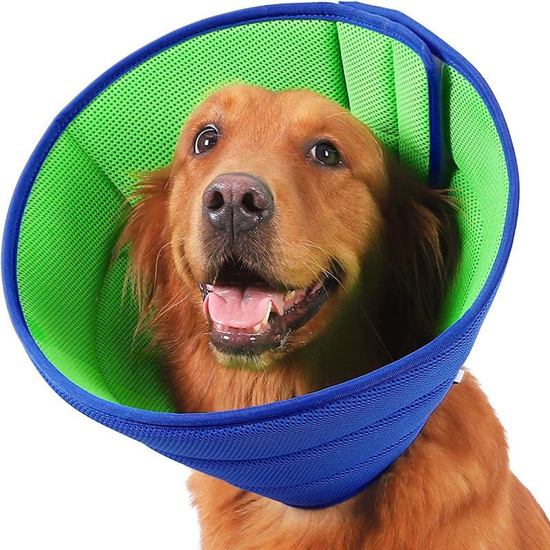 Collerette Dog Blue, Collerette for Dog Anti Lechage and Grattage Collerette Souple Transparente for Dog