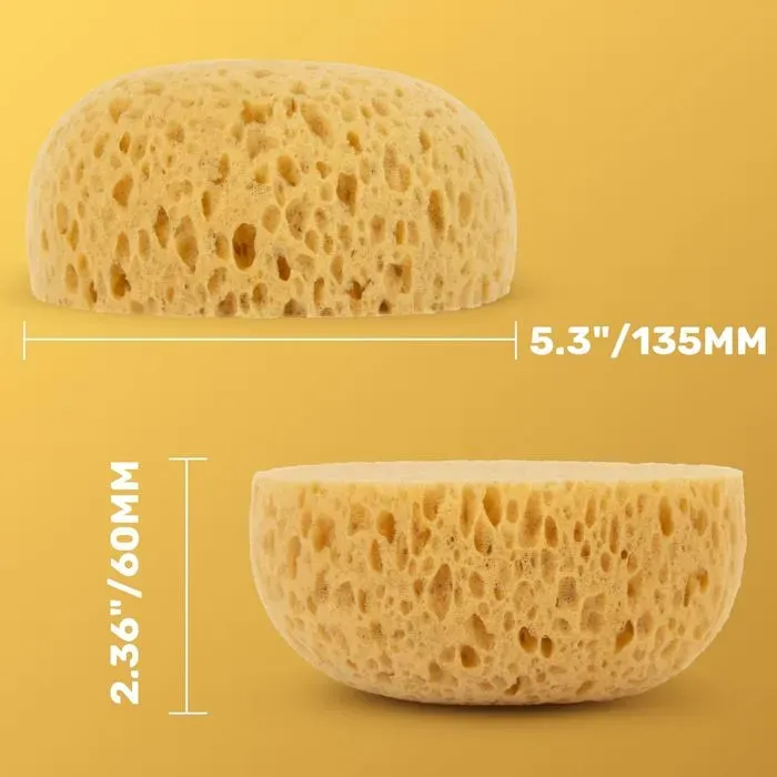 2 Pack Drywall Texture Sponge Tools