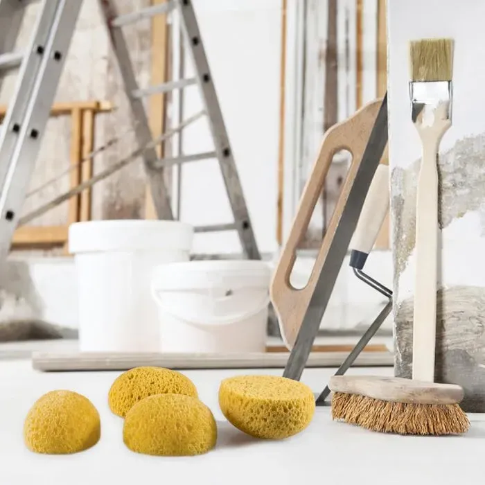 2 Pack Drywall Texture Sponge Tools