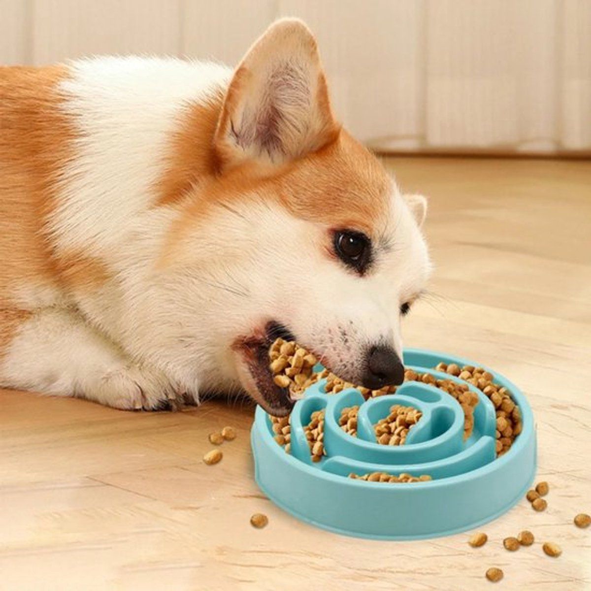 Slow Feeder Dog Bowl, Anti-Gulping Non-Slip Food Bowl for Puppies and Small Medium Dogs