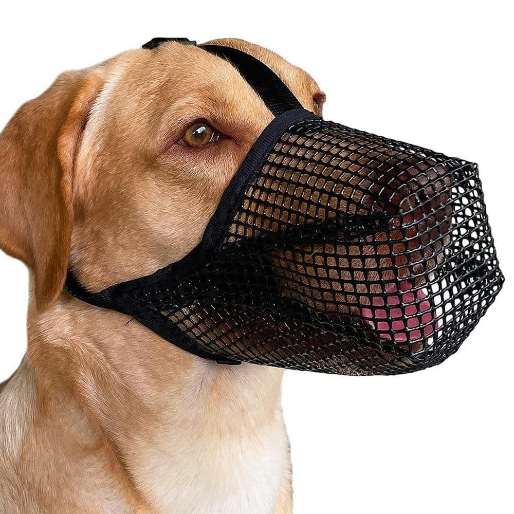 Soft Mesh Covered Dog Muzzle with Adjustable Straps Anti-Biting Breathable Pet Muzzle XL