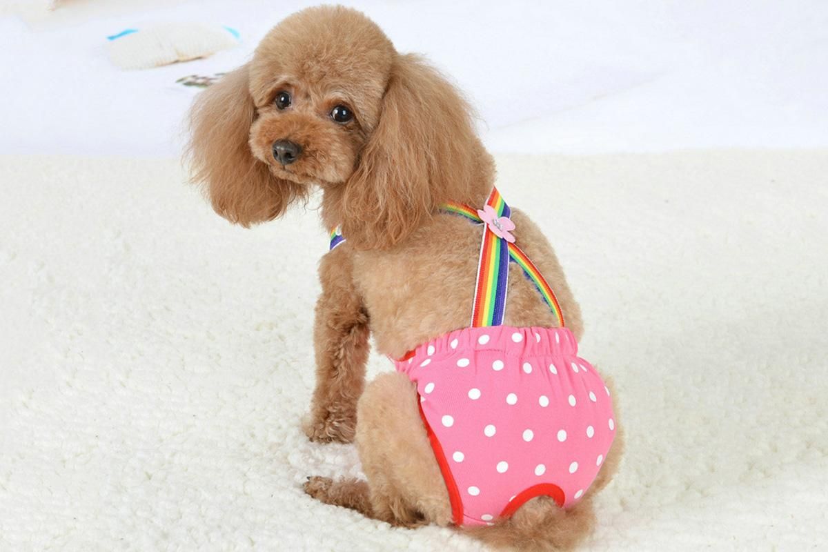 Cute Harness Female Dog Sanitary Pants Reusable Menstrual Diaper-Pink M