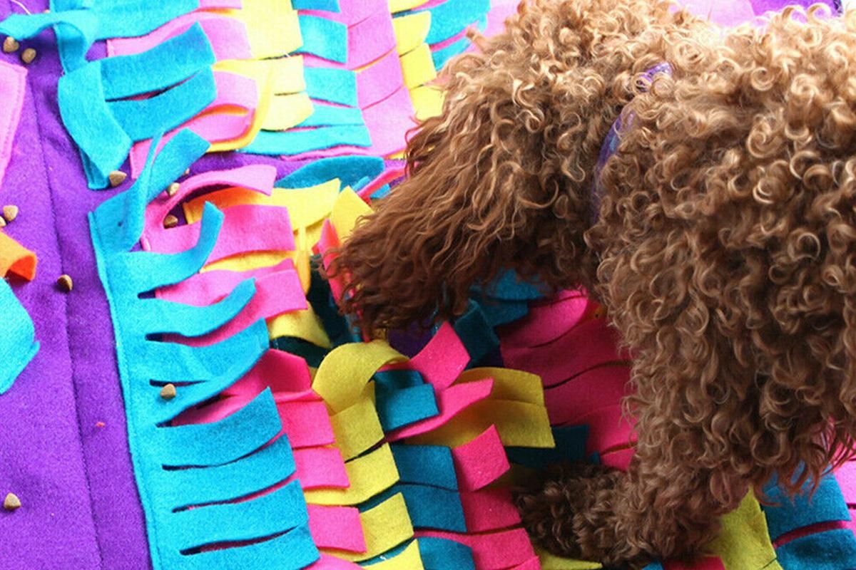 Dog Pet Nose Training Sniffing Pad Toys Blanket Game Feeding Cushion Snuffle Mat