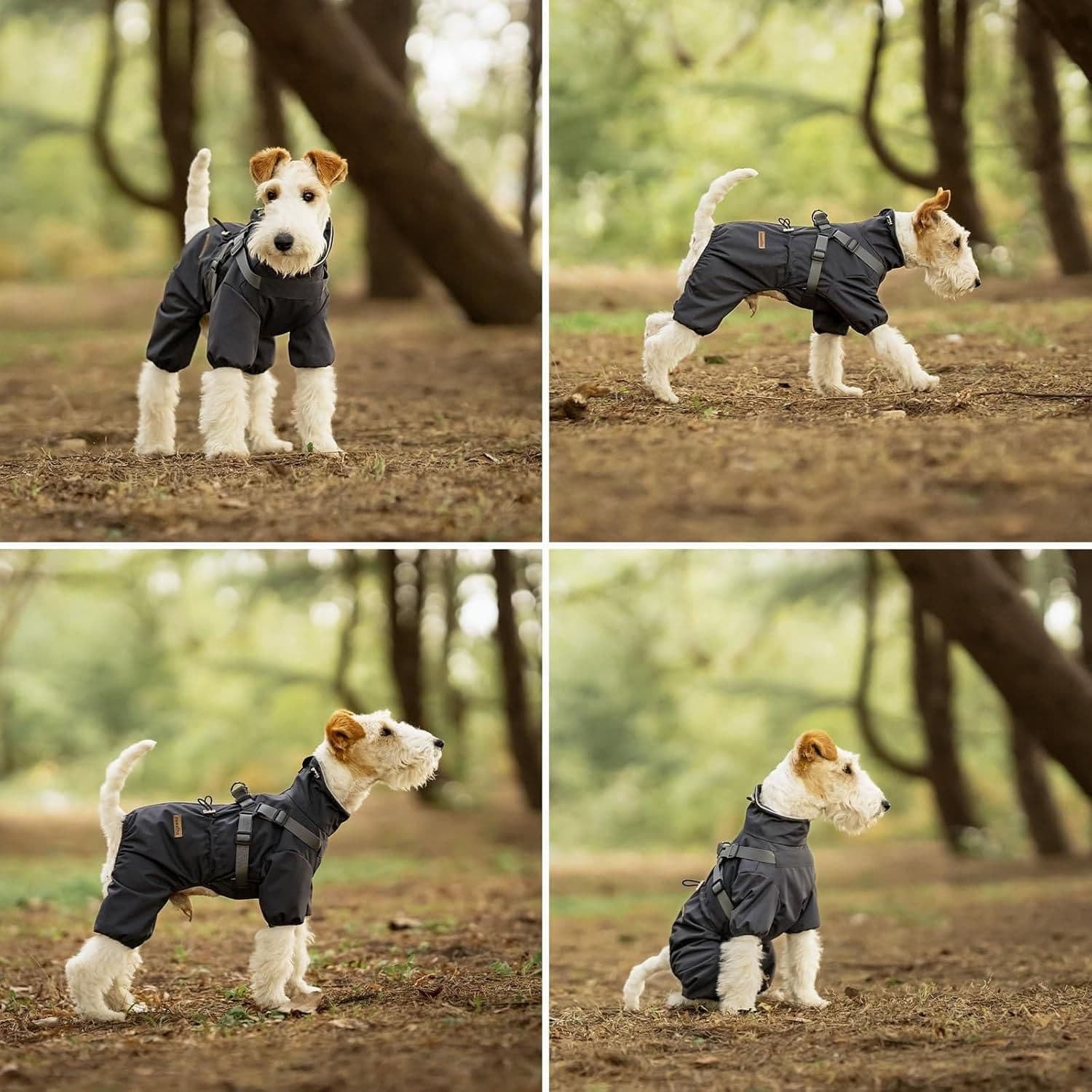 Dog Raincoat Waterproof Reflective Adjustable Harness Jacket - Purple 2XL