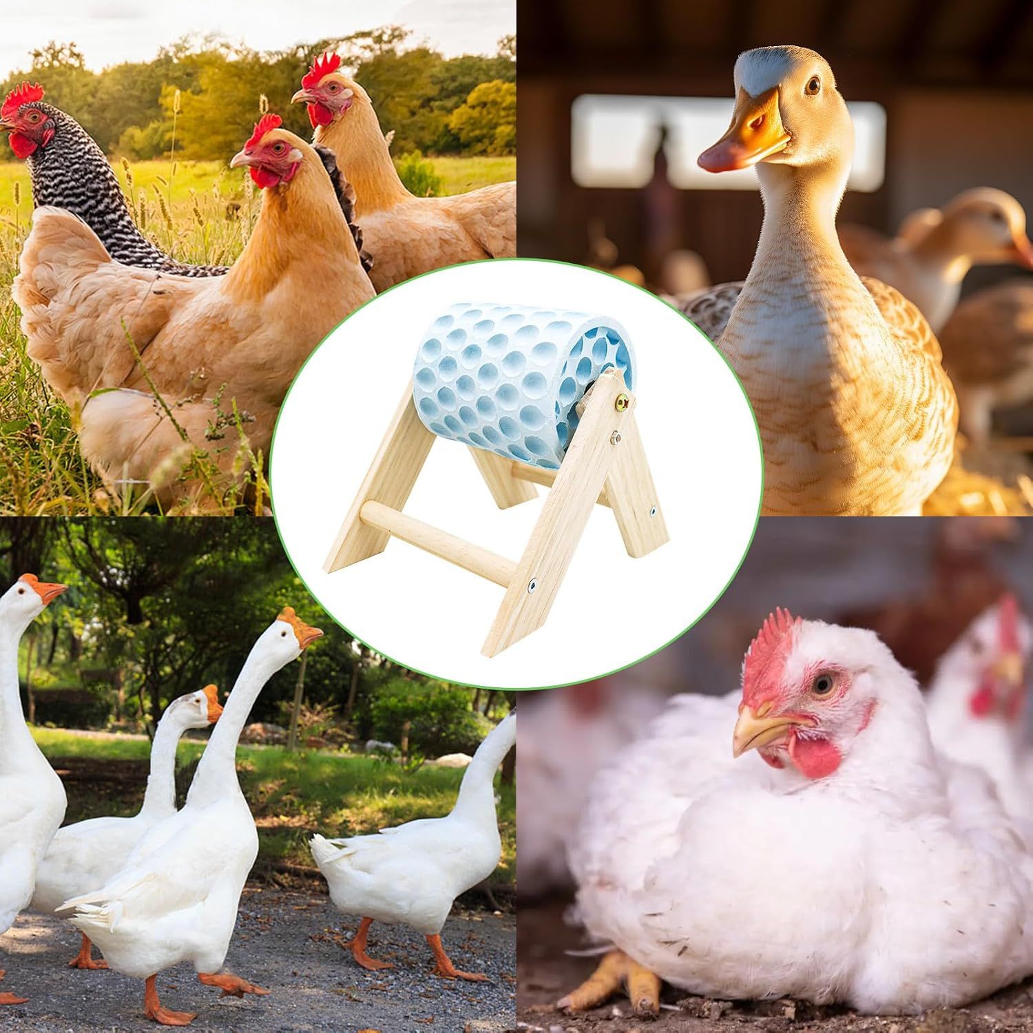 Chicken Coop Accessories, Beak Grinding Calcium Stone with Wooden Stand, Chicken Enrichment Toys, Toys for Hens, Ducks, Geese, Turkeys, Poultry, Blue