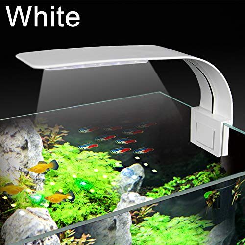 X5 Virgo 24 LED Aquarium Light 10W Clip-on Lamp Aquatic Plant Lighting for 10-15inch Fish Tank (White)