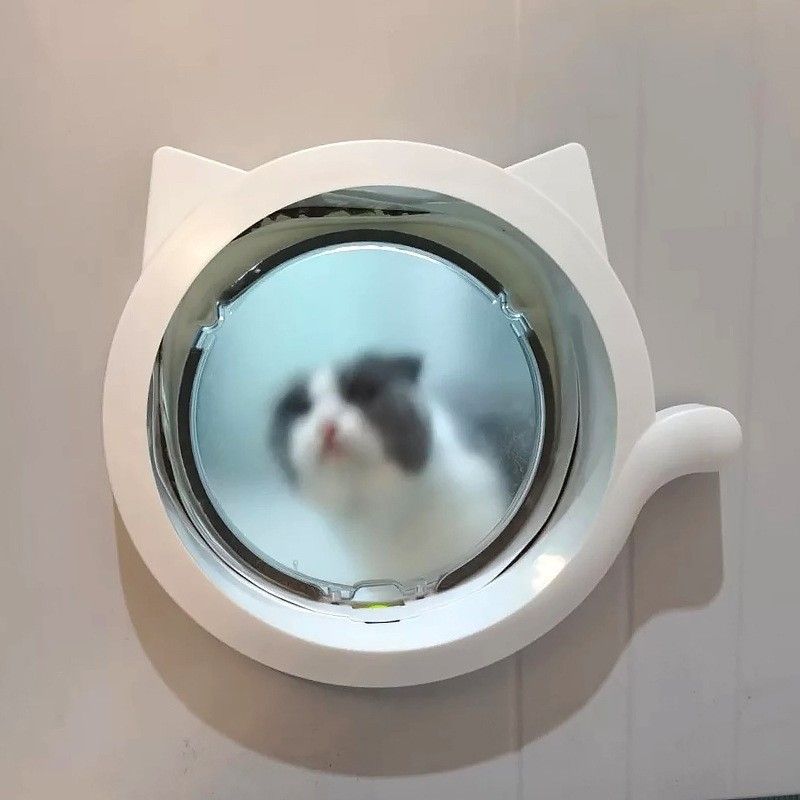Cat Door Flap, 4 Way Locking Cat Flap for Interior Exterior Doors, Weatherproof Pet Door for Cats Doggie Kitty and Medium Cat