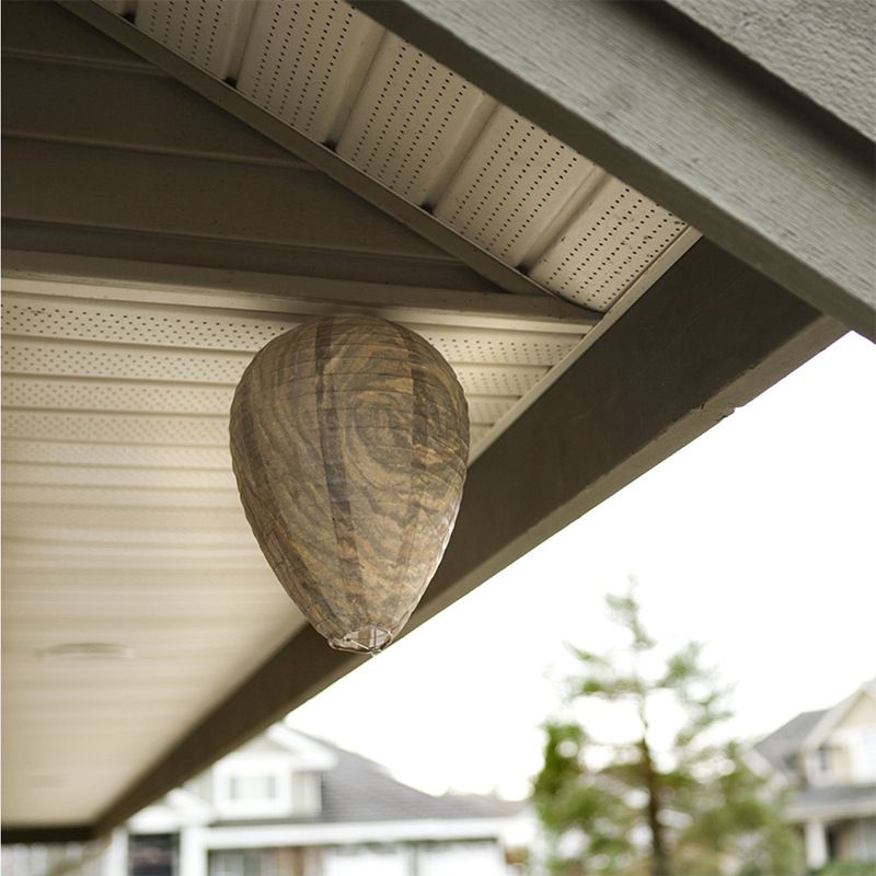 Fake Wasp Nest, Hanging Fake Wasp Nests for Hornets Natural Wasp Fake Hornets Nest for Home and Garden Outdoors