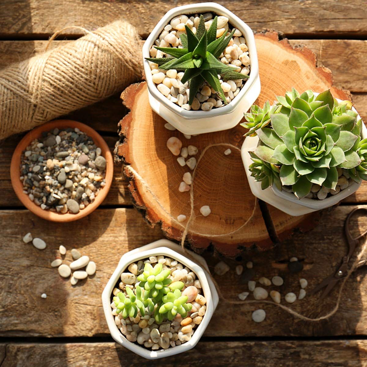 Natural Decorative Pebbles Fish Tank Gravel Small Garden Rocks Soil Cover for Aquariums, Landscaping, Vase Fillers, Succulent