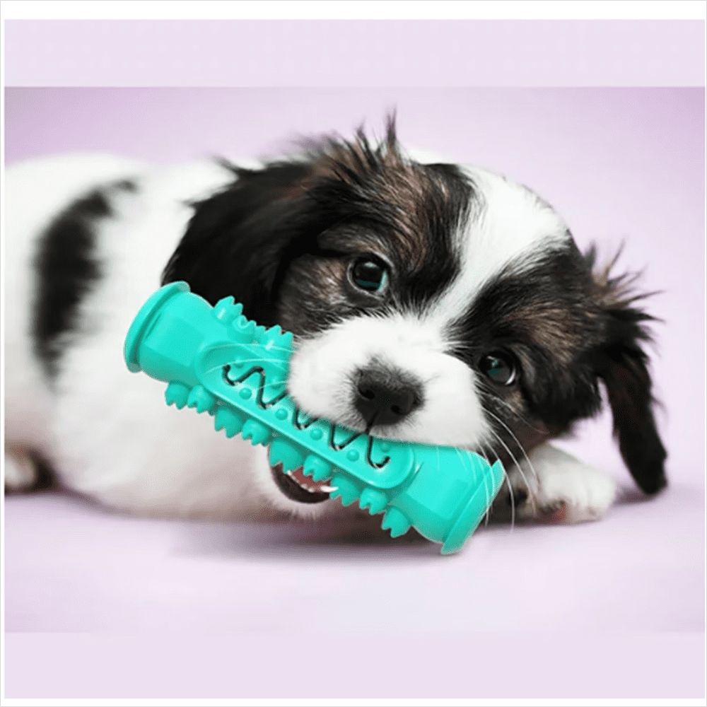 Dog Toy for Aggressive Chewer Large Medium Nearly Indestructible Super Chew Dog Toys Squeaky Dog Birthday Toy Dog Toothbrush Interactive Tough Durable Dog Toys Natural Rubber(Blue)