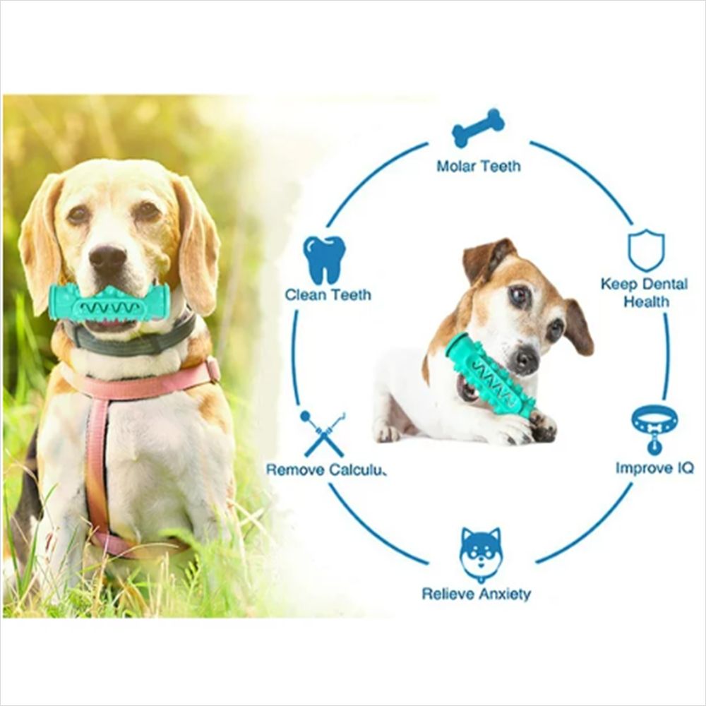 Dog Toy for Aggressive Chewer Large Medium Nearly Indestructible Super Chew Dog Toys Squeaky Dog Birthday Toy Dog Toothbrush Interactive Tough Durable Dog Toys Natural Rubber(Blue)
