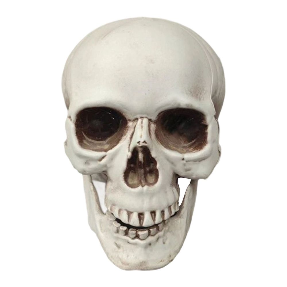 Human Skull Replica - Anatomically Accurate Skeleton Head Prop for Halloween Parties, Haunted Bars & Spooky Home Decorations