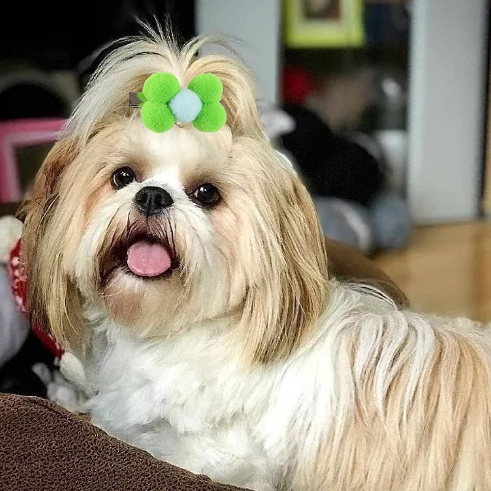 Dog Hair Clips,20Pcs Puppy Dog Small Bow Hair Barrettes Yorkie Dog Hair Clips Flower Dog Hair Clips for Valentine's Day St Patrick's Day Easter Pet Hair Clips Accessories (Random Color)