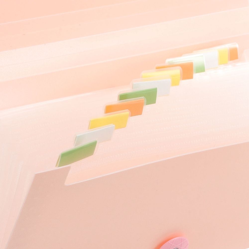 Plastic Receipt Organizer Box with Simple Pouch for School and Office Use, 1 Set
