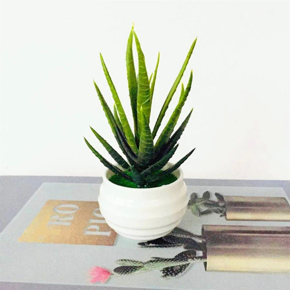6-Pack Artificial Succulent Plants with Pots - Small Indoor Succulents for Windowsills, Bedroom, Desk, and Bathroom Home Decor | Gift for Plant Lovers Green
