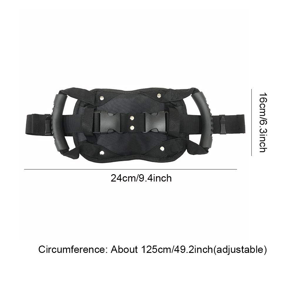 Motorcycle Backseat Handle, Adjustable Reinforce Buckle Bandage, Waist Belt Black Backseat Handle (size:24x16cm)