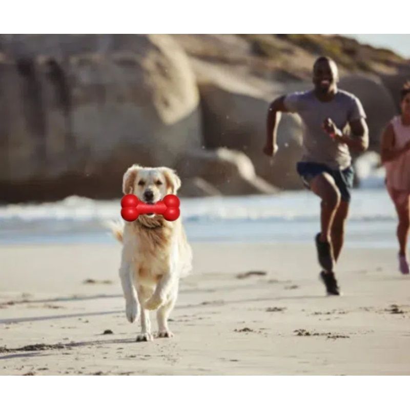 red bone Pup Chew Toy - Bone - Human Pup Play Gear - Food Grade Silicone -A Pet Toy (gnawing and grinding teeth stick)