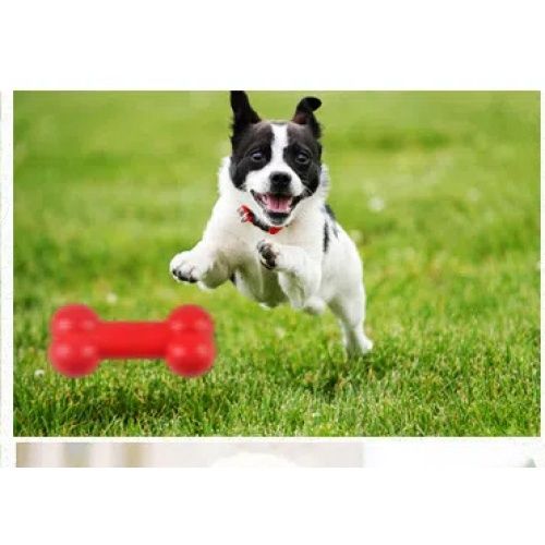 red bone Pup Chew Toy - Bone - Human Pup Play Gear - Food Grade Silicone -A Pet Toy (gnawing and grinding teeth stick)