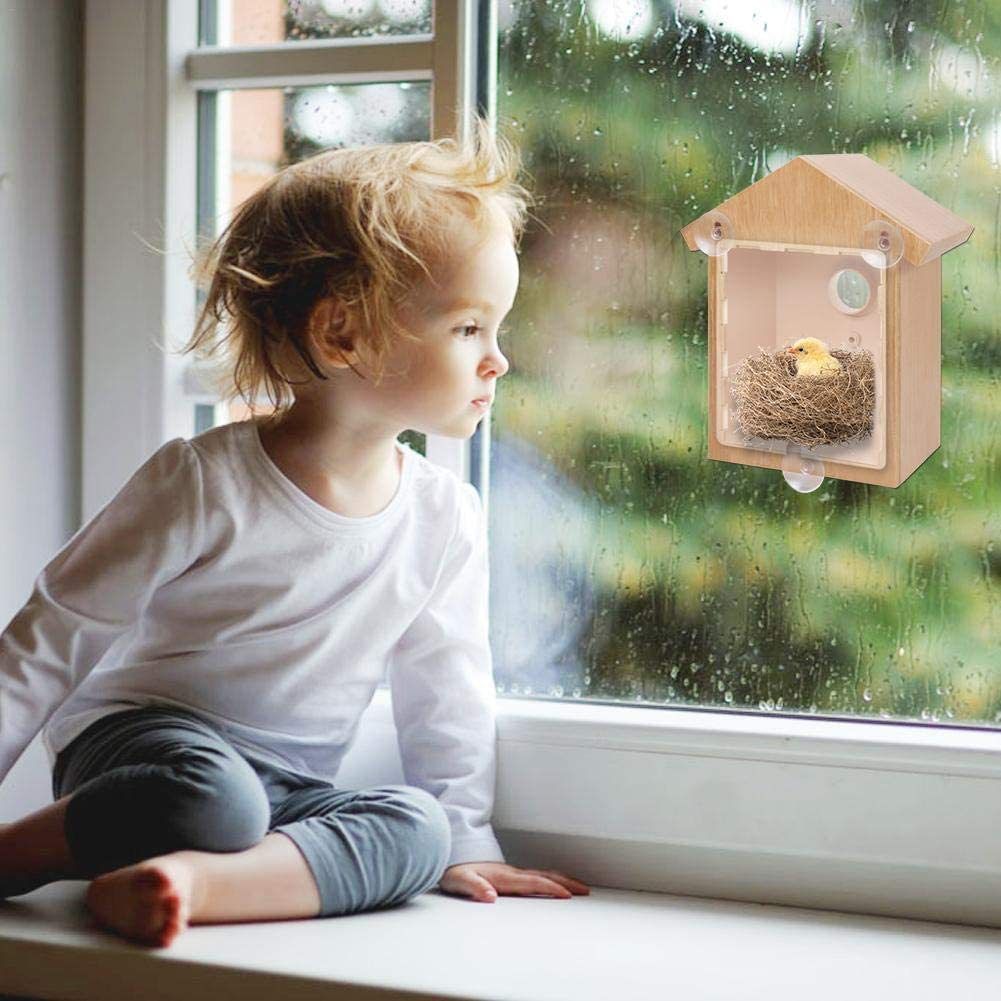 Bird House with Strong Suction Cup Wooden Birdhouse Clear Window Bird Feeder Outdoor Birds Nest Cage